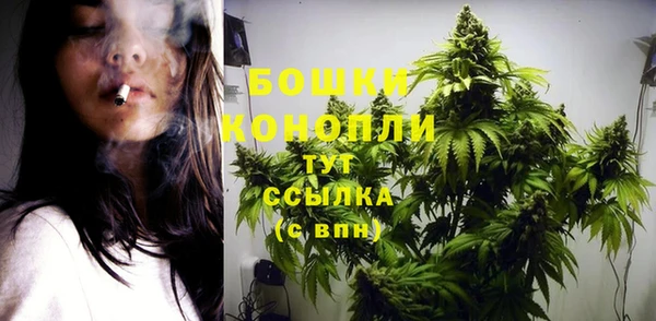 винт Гвардейск