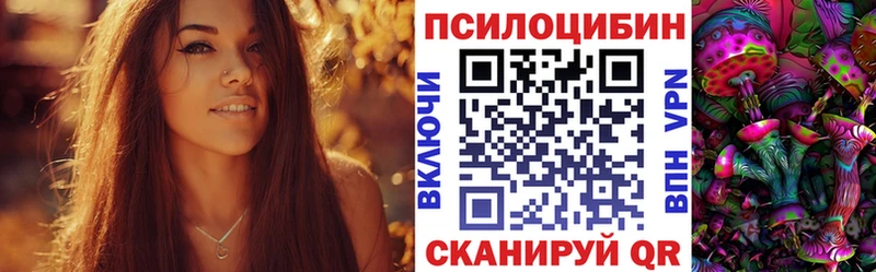 Галлюциногенные грибы мицелий как найти закладки Кингисепп