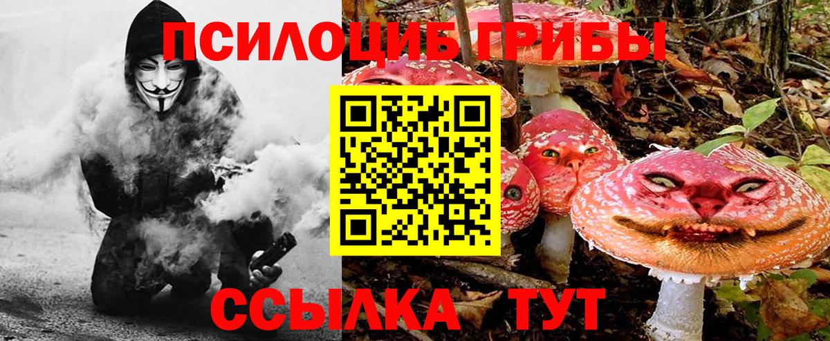 Кингисепп  Псилоцибиновые грибы мухоморы  Вход с VPN 